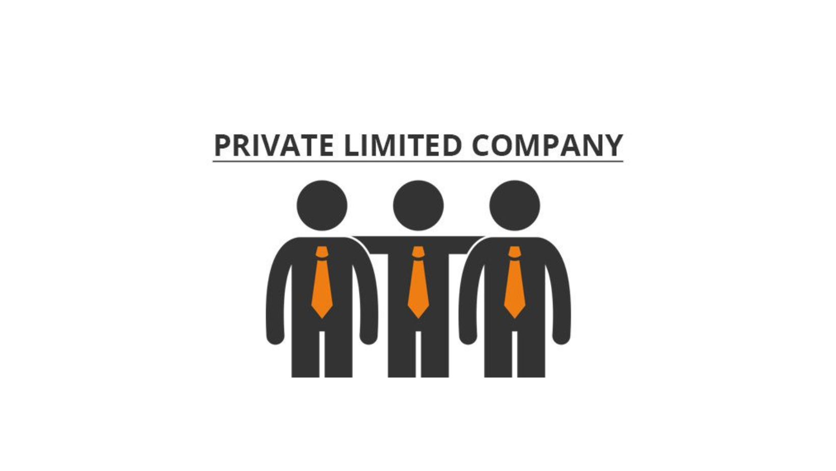 PRIVATE LIMITED COMPANY